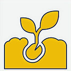 seed2-icon_edited.jpg