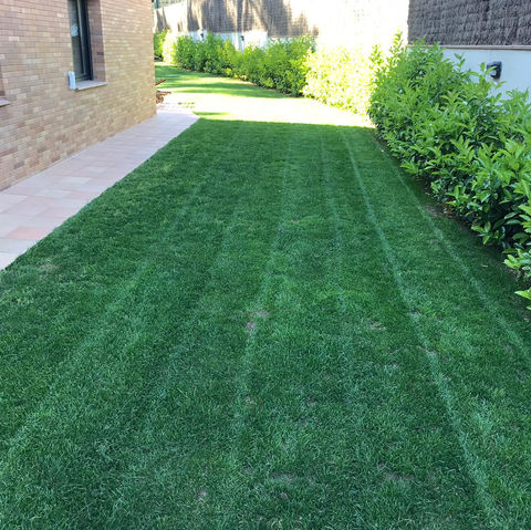 Jardinero profesional Barcelona Cataluña