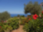 ReD flowers