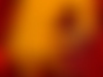 What is the Basis for Legitimate Authority?