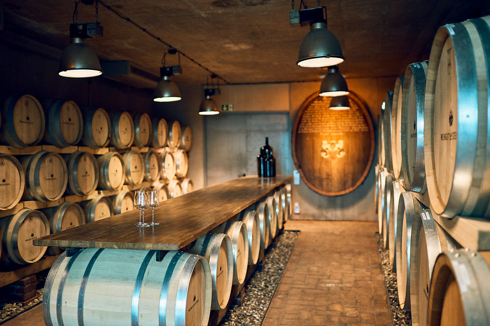 Weingut-Am-Stein-2024-03_0769-HiRes.jpg