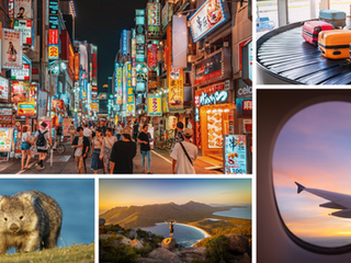 Looking Back at 2025, Looking Ahead to New Adventures in 2026