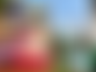 Top Travel Tips from the Travel The World Team