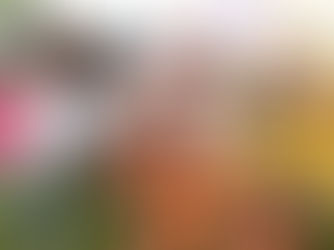 Projeto Âncora: o fim de uma escola, mas não de uma ideia