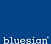 bluesign.jpg