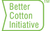 BCI_PNG-1.png