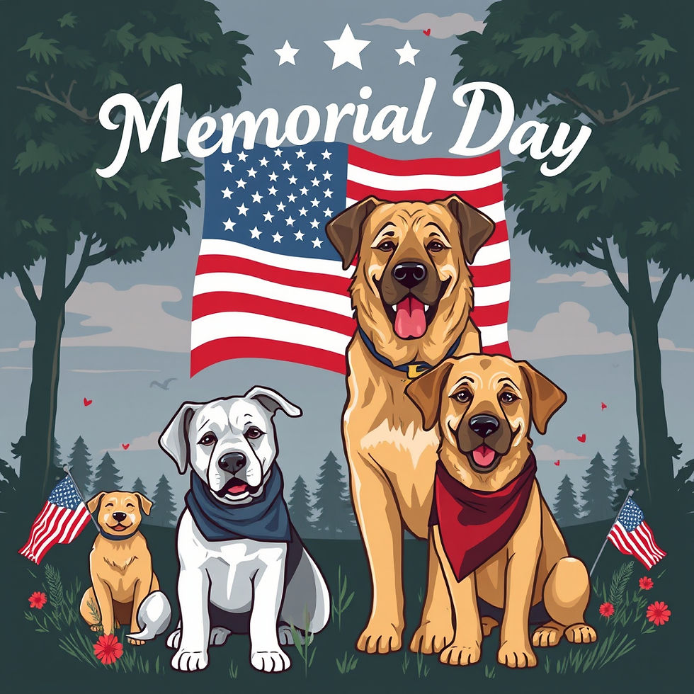 Memorial Day Pet Safety Tips + Honoring Military Dogs
