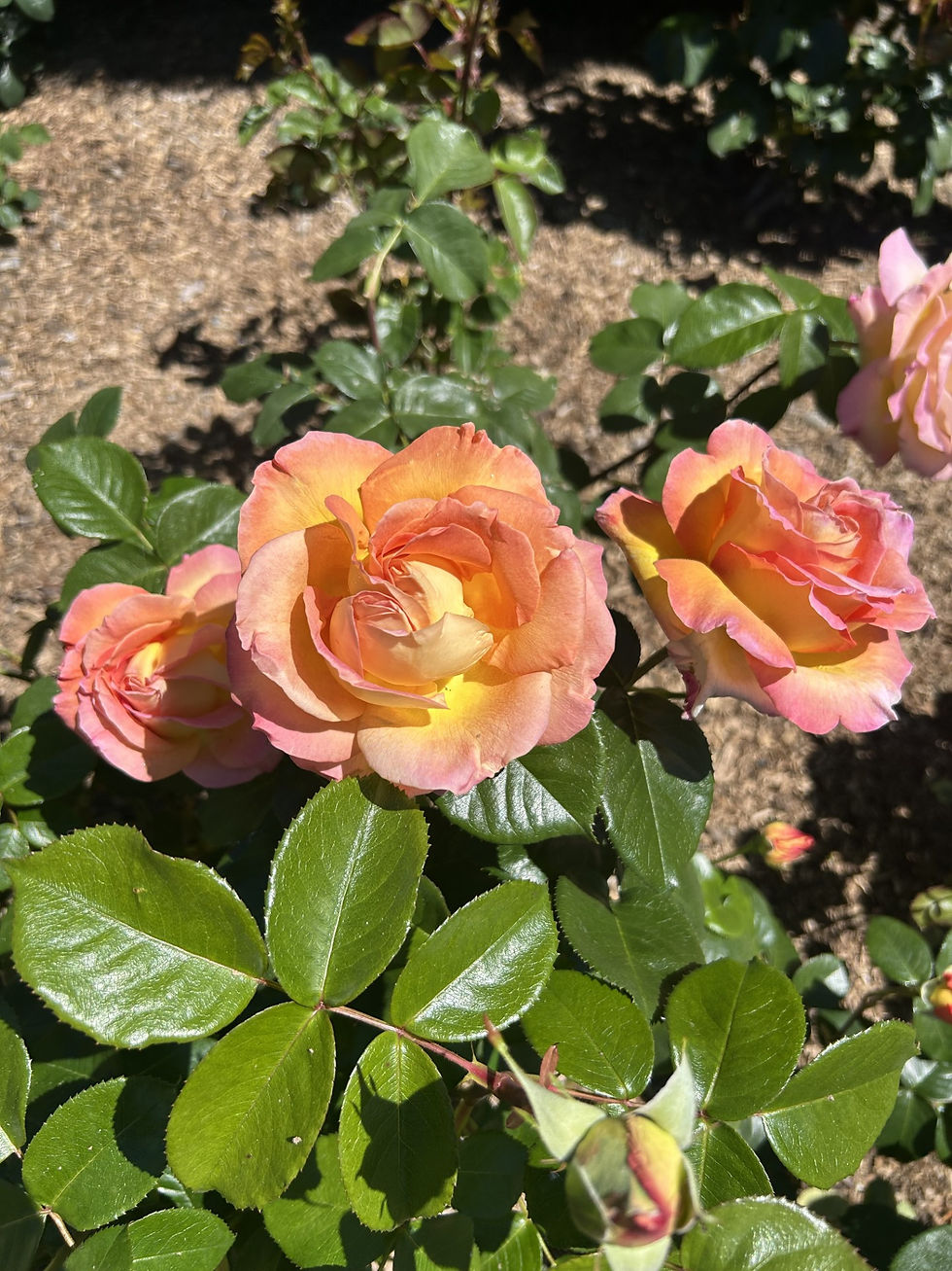 Struggling with Ruminating Thoughts and Anxiety? Here's a Proven Strategy to Find Relief