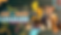 UAY LEAGUES HEADER2.png