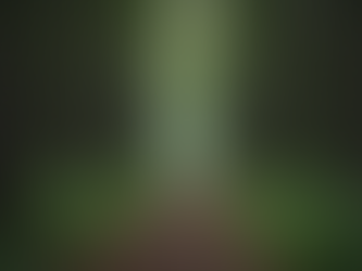 Faith Insights from Books: Lessons from The Incredible Journey: Shattered but I Am Not Broken