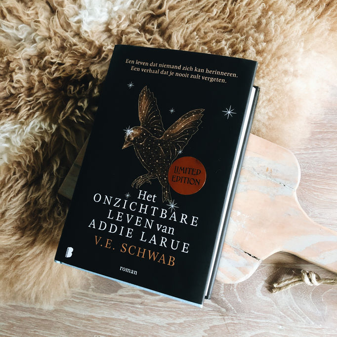 Het onzichtbare leven van Addie LaRue - V.E. Schwab
