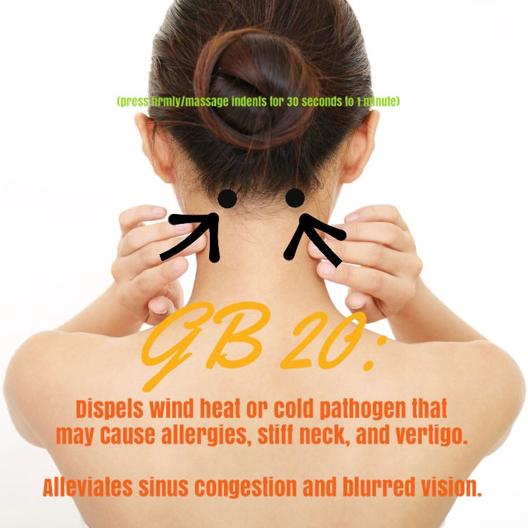 How to Balance your Liver Energy During the Spring (Part 2