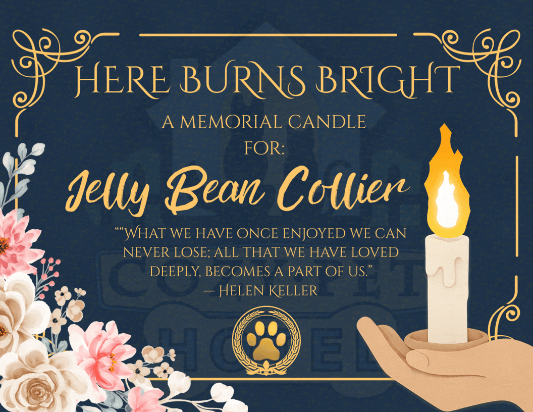 Memorial Garden Jellybean.gif