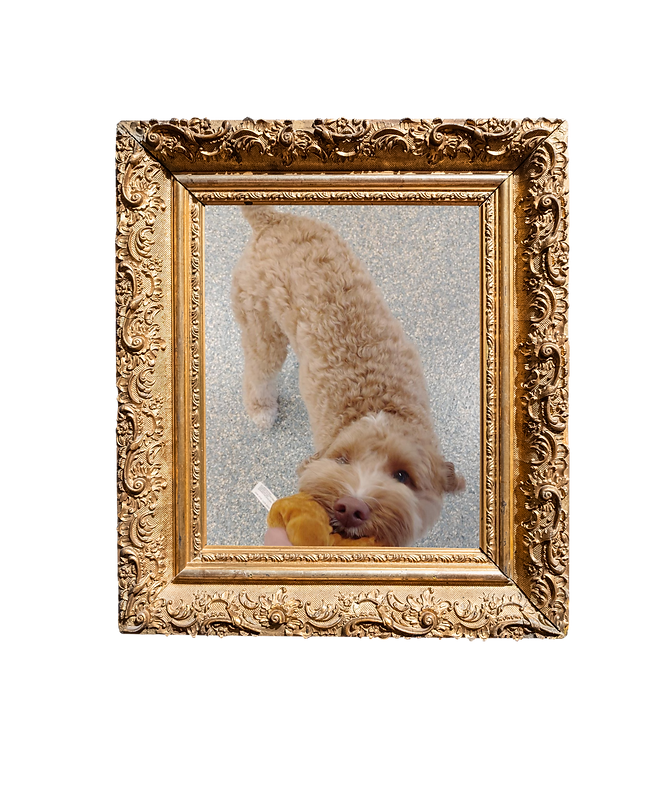 Here Lies (5000 x 5000 px) (12).png