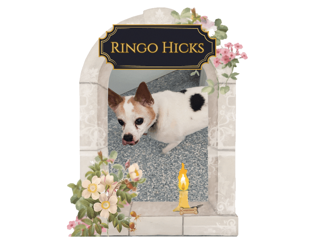 Memorial Garden Certs 2.gif