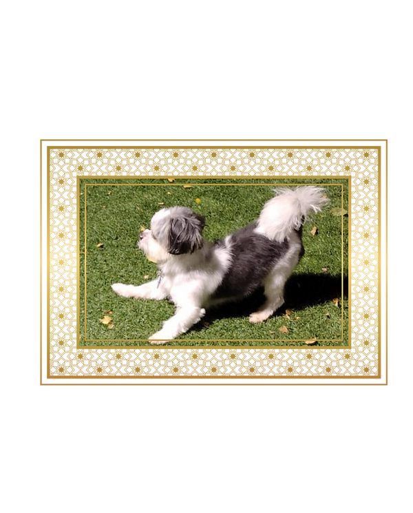 Here Lies (5000 x 5000 px) (5).png