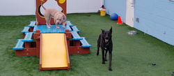 IMG_20260409_180950