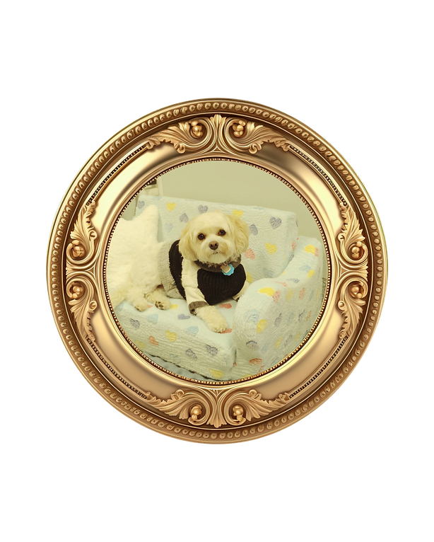 Here Lies (5000 x 5000 px) (4).png