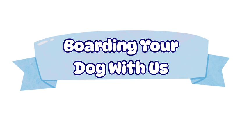 Main page graphics CPH (47).png