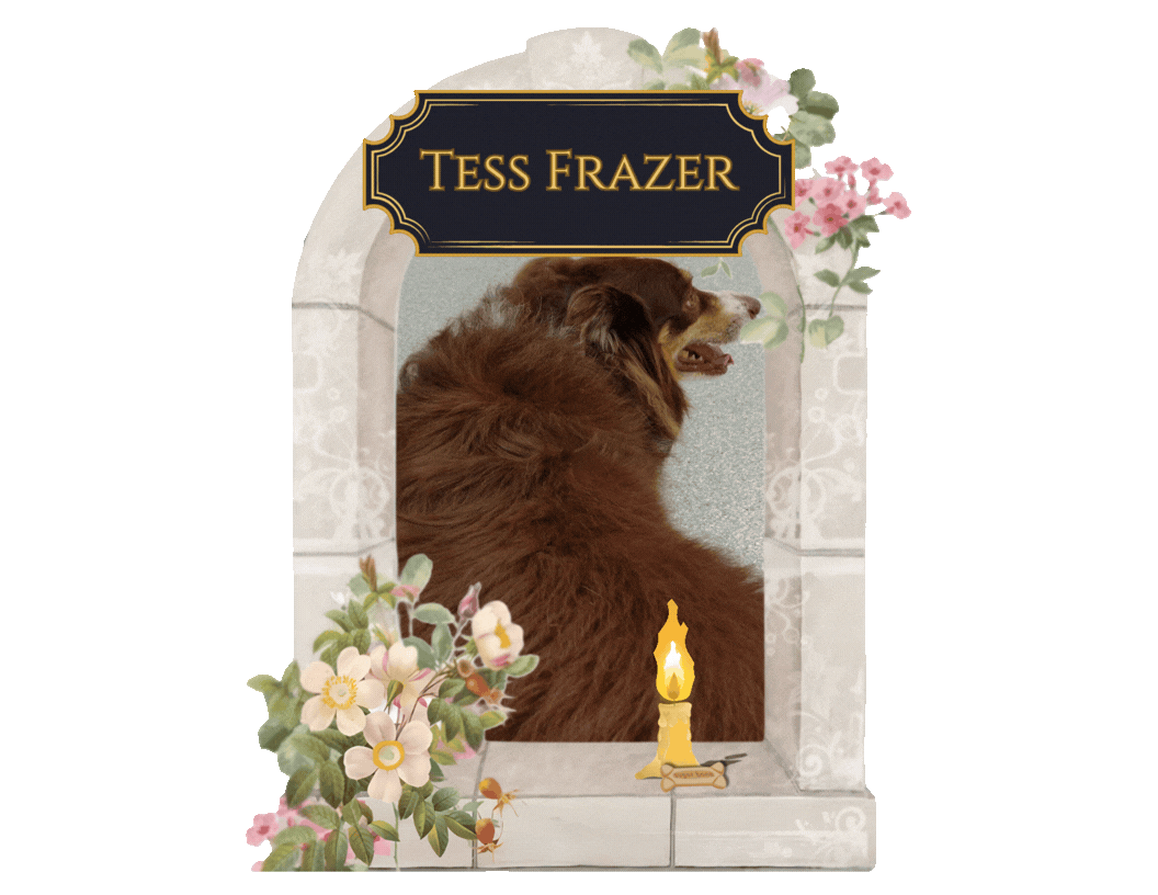 Memorial Garden Certs  tess.gif