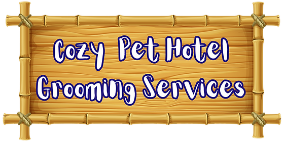 Main page graphics CPH (15).png