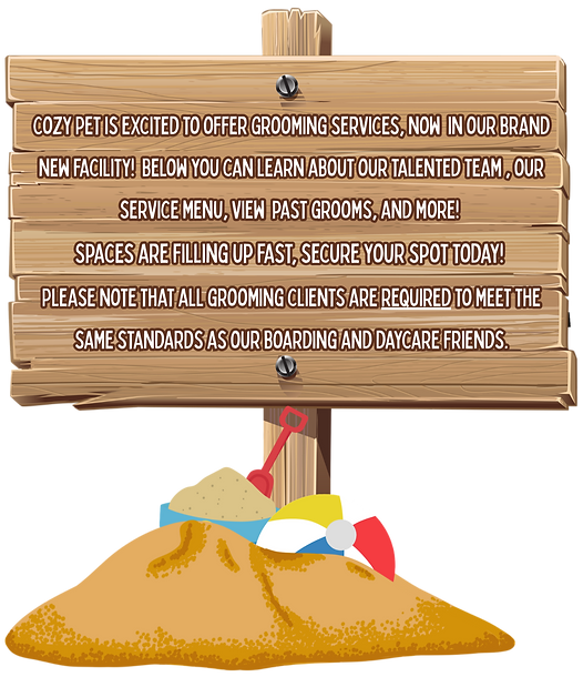 Main page graphics CPH (37)_edited.png