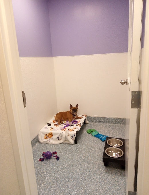 Room 3.jpeg