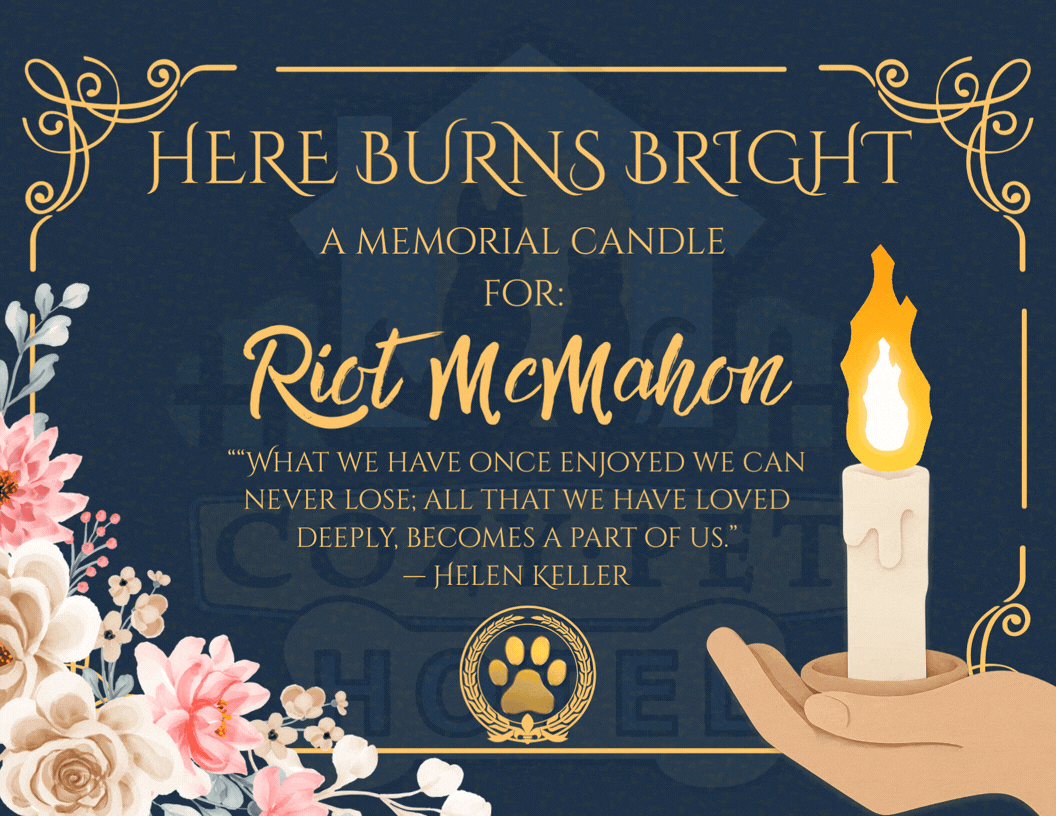 Memorial Garden Riot Mc.gif