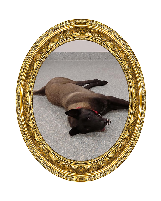 Here Lies (5000 x 5000 px) (2).png