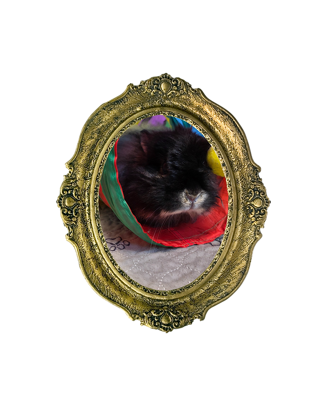 Here Lies (5000 x 5000 px) (10).png