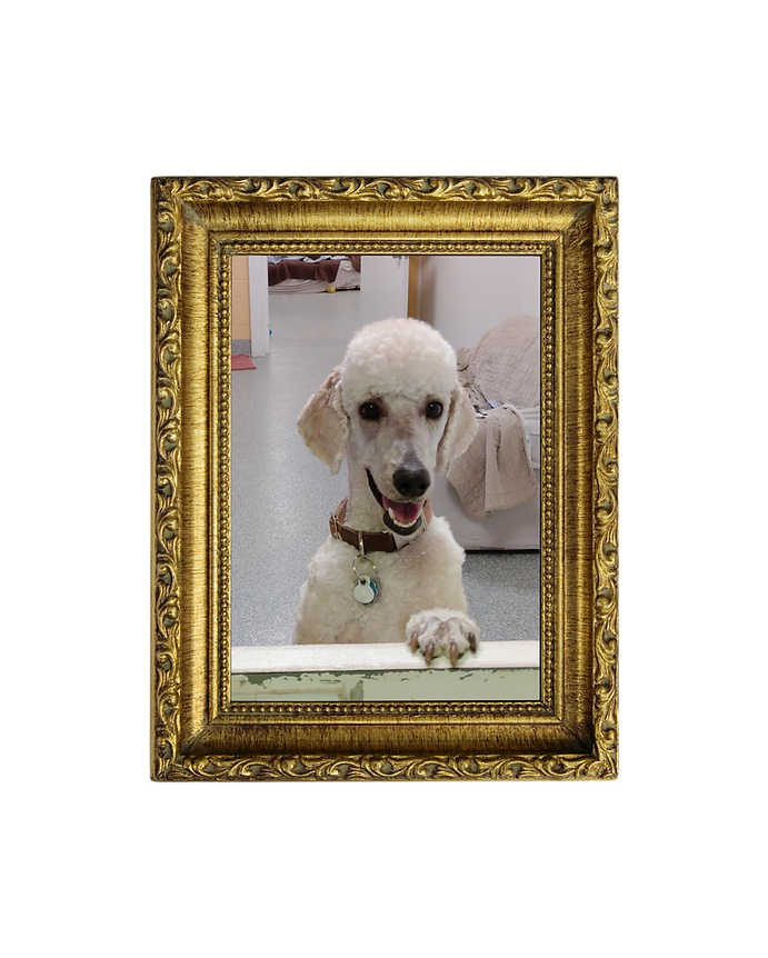 Here Lies (5000 x 5000 px) (9).png