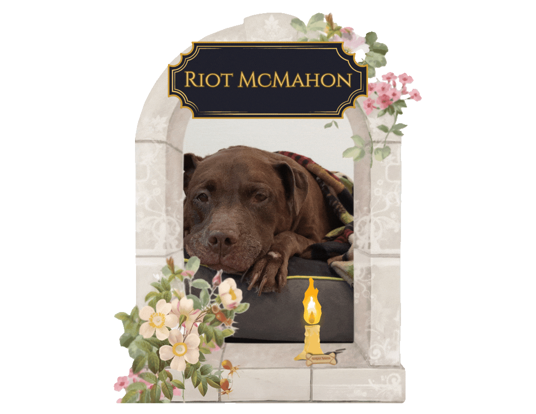 Memorial Garden Certs .gif