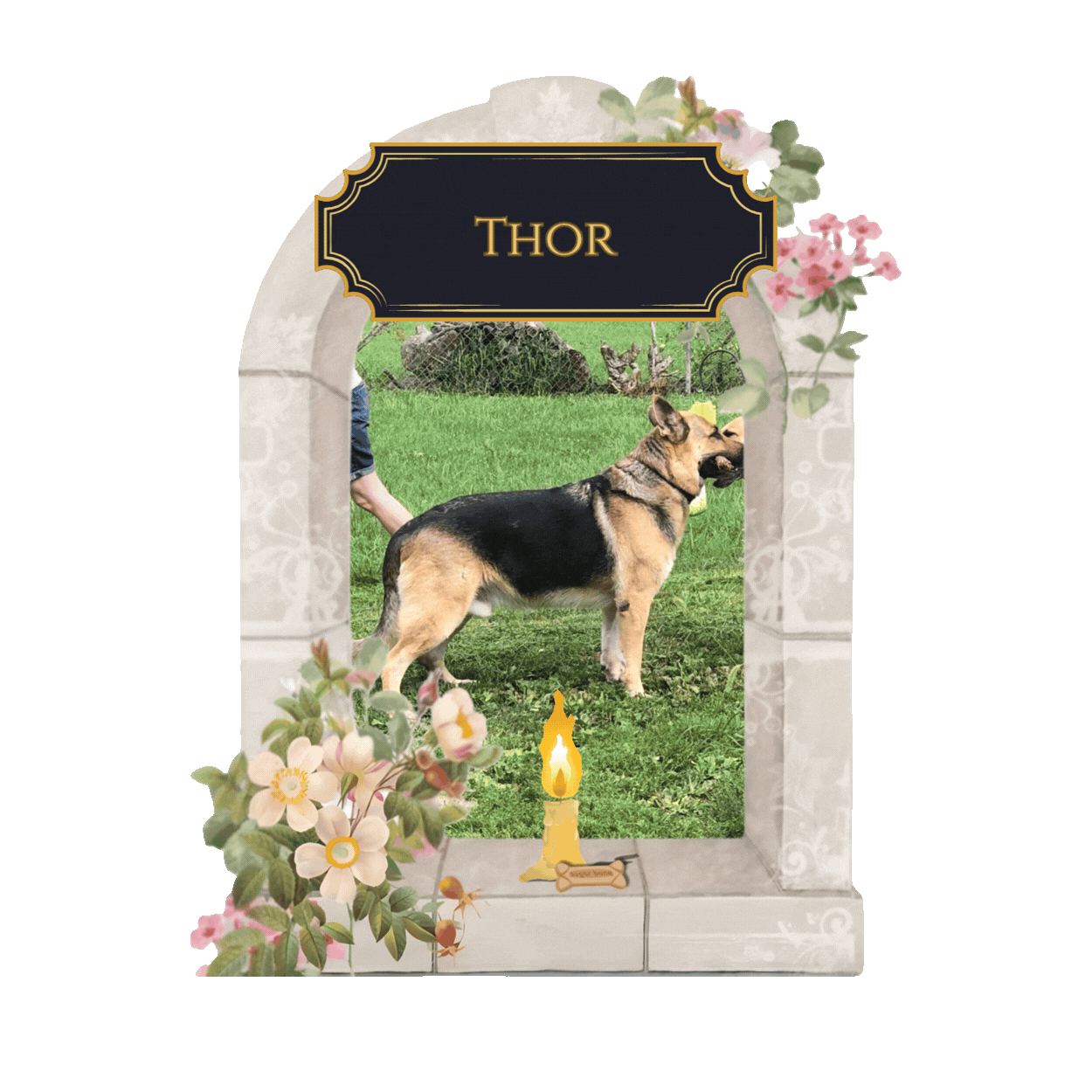 Memorial Garden Certs  (9).gif