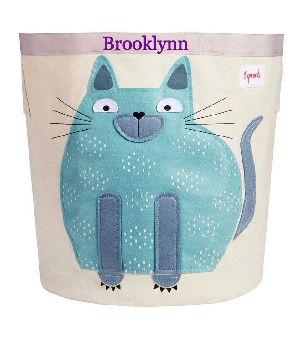 Thumbnail: Personalized Cat storage bin