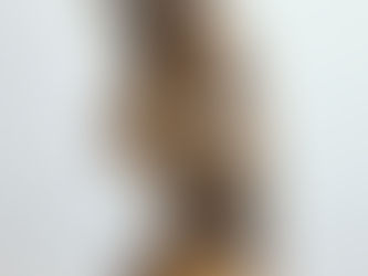 ダイエットが続かない理由　