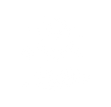 Terapia Floral.png