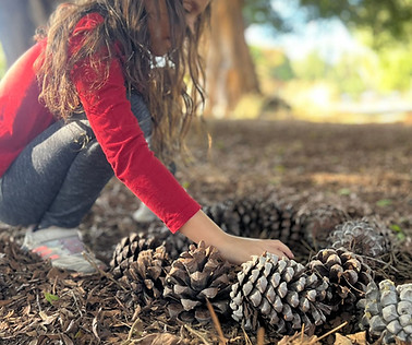 WhatsApp Image 2024-11-28 at 12.30.36.jpeg