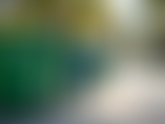 Effortlessly Navigate Charleston County Garbage Pickup