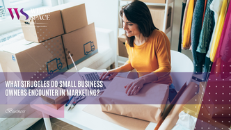 What Struggles Do Small Business Owners Encounter in Marketing?