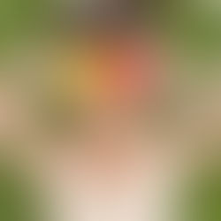 Tavaszi megújulás – frissítsd fel a környezeted, újítsd meg otthonod!