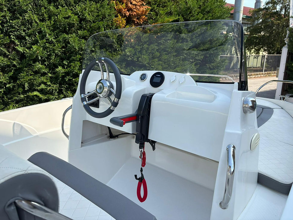 Miniatura: AM 490 Open + Yamaha 40 cv