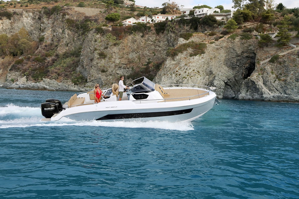 Miniatura: Ranieri International Next 330