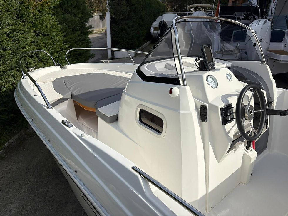Miniatura: AM marine 500 WA + Mercury 40