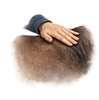 Copy of membership banner (15).png