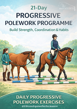 21 Day Horse Fitness Plan.png