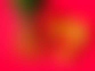 באיזה צוות אני עובד