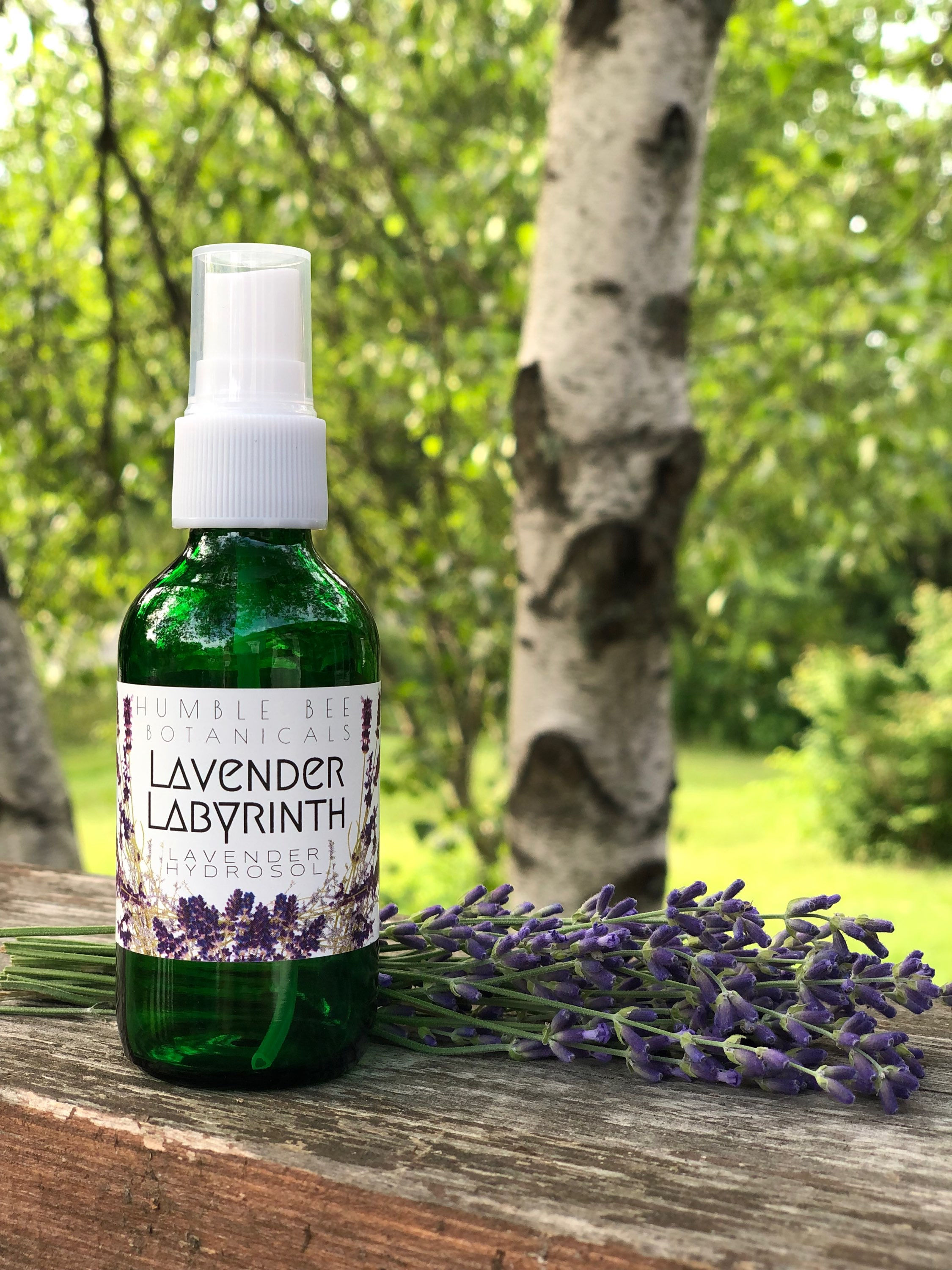 Lavender Labyrinth - Lavender Hydrosol