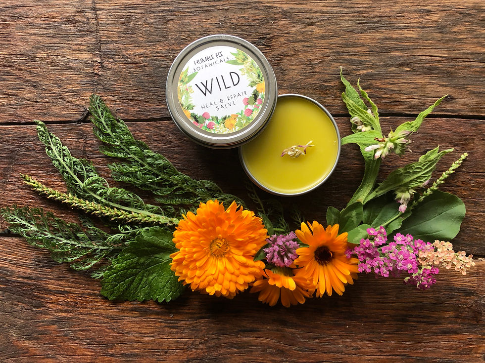Thumbnail: WILD - Heal & Repair Salve