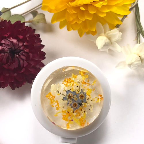 Calendula, Forget Me Not + Queen Anne’s Lace Botanical Badge Buddy