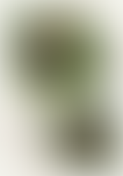 Nové lekce FLOW JÓGY